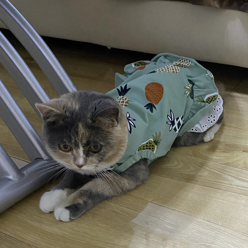 Summer Cotton Cat Dress Skirt Cute Pineapple Cherry Print Pet Clothes Dresses for Cats Sphynx Dog kedi elbisesi ropa para gatos 251029