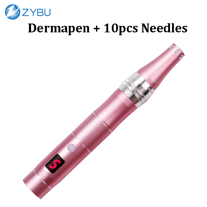 Professional Grade Electronic Dermapen Device with 10pcs Micro Cartridges Needle for Skin Care at Home MTS Derma MTS Pen Face Mesotherapy