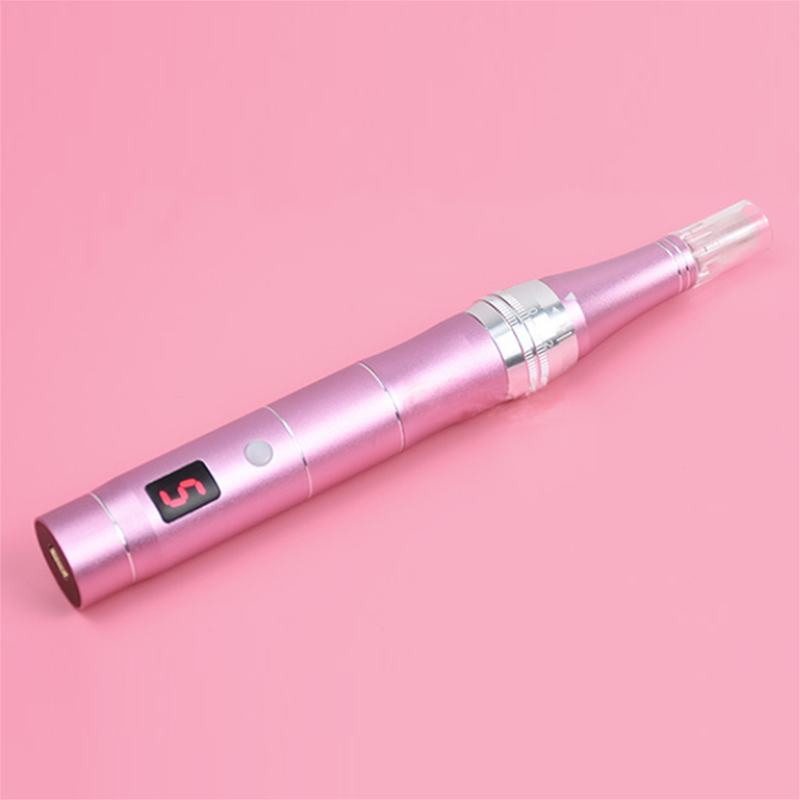 Wireless 5 Speed Dermapen Electric Auto Micro Needle Roller System Professional Mesotherapy Tool Skin Care MTS Derma Pen Microneedling Stamp with 10Pc