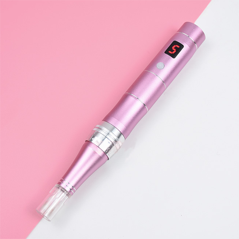 Wireless 5 Speed Dermapen Electric Auto Micro Needle Roller System Professional Mesotherapy Tool Skin Care MTS Derma Pen Microneedling Stamp with 10Pc