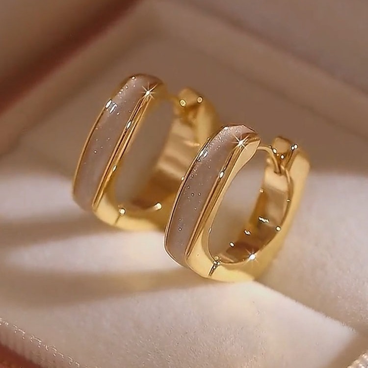 Luxury earrings 18K gold plated C-shaped minimalist earrings high-end personality light luxury s925 silver earrings for women free shipping birthday g