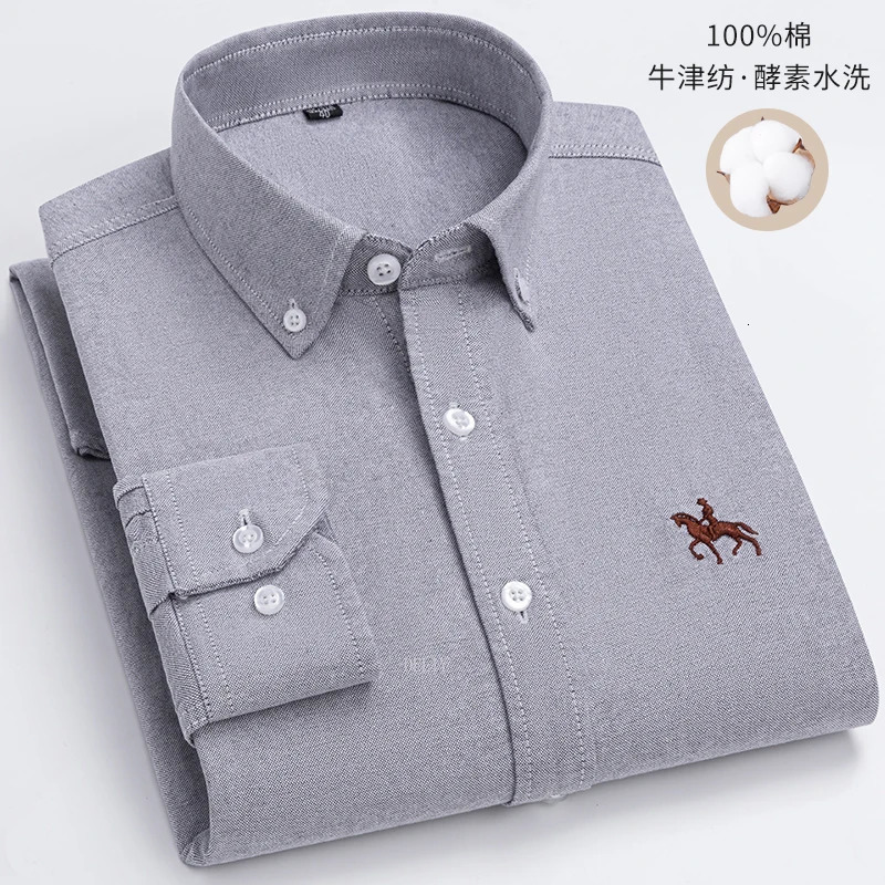 100 Cotton Oxford Man Leisure Embroidered Horse Shirts Streetwear Oversized Men Shirt Floral Long Sleeve Casual Plus Size 251029