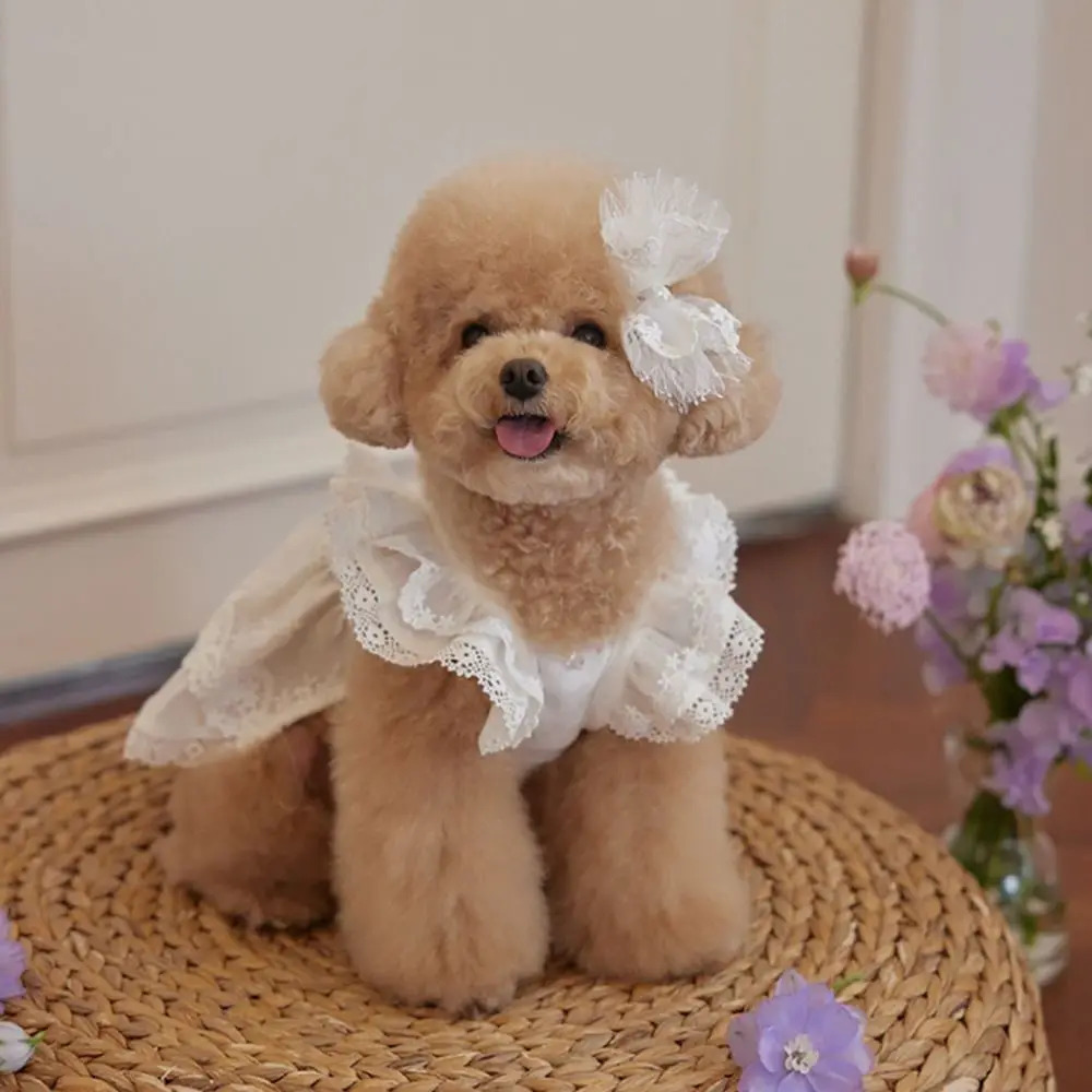 Cute CottonLace Pet Flying Sleeve Skirt White XSXL Cat Top Breathable Pet Costumes Cat Dog 251029