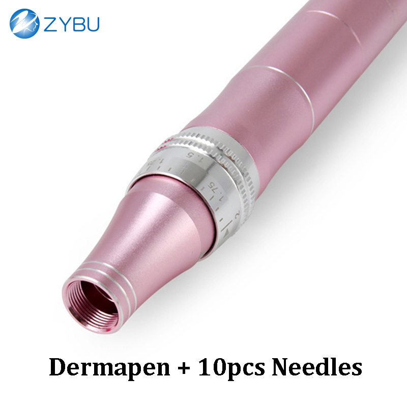 Advanced Electronic Microneedle Therapy Pen MTS Kit Dermapen Includes 10pcs Needles Derma Pen Skin Care Face Mesotherapy