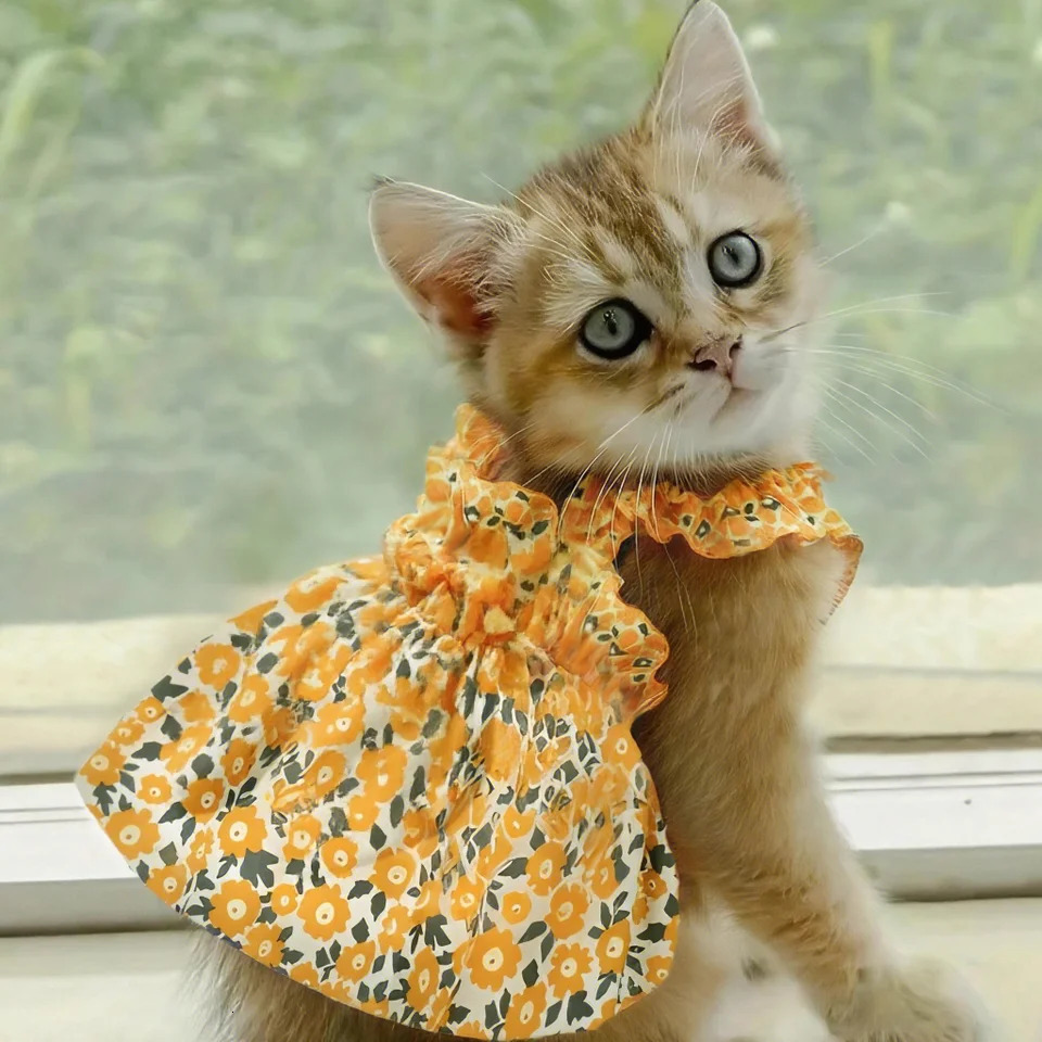 Breathable Skirt Dress for Cat Summer Orange Flower Soft Bowtie Elastic Tshirt For Kittens Pajamas For Cat Supplies 251029