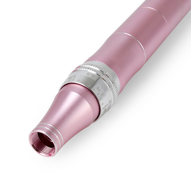 Wireless 5 Speed Dermapen Electric Auto Micro Needle Roller System Professional Mesotherapy Tool Skin Care MTS Derma Pen Microneedling Stamp with 10Pc