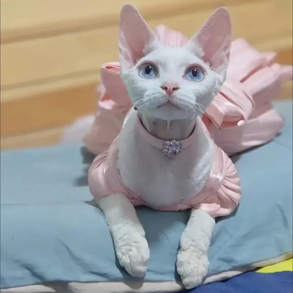 Fashion Sphynx Cat Full Dress with Bow Sweet Pet Wedding Dresses Clothes for Cats Gotas Kitten Skirt mascotas Costume vestidos 251029