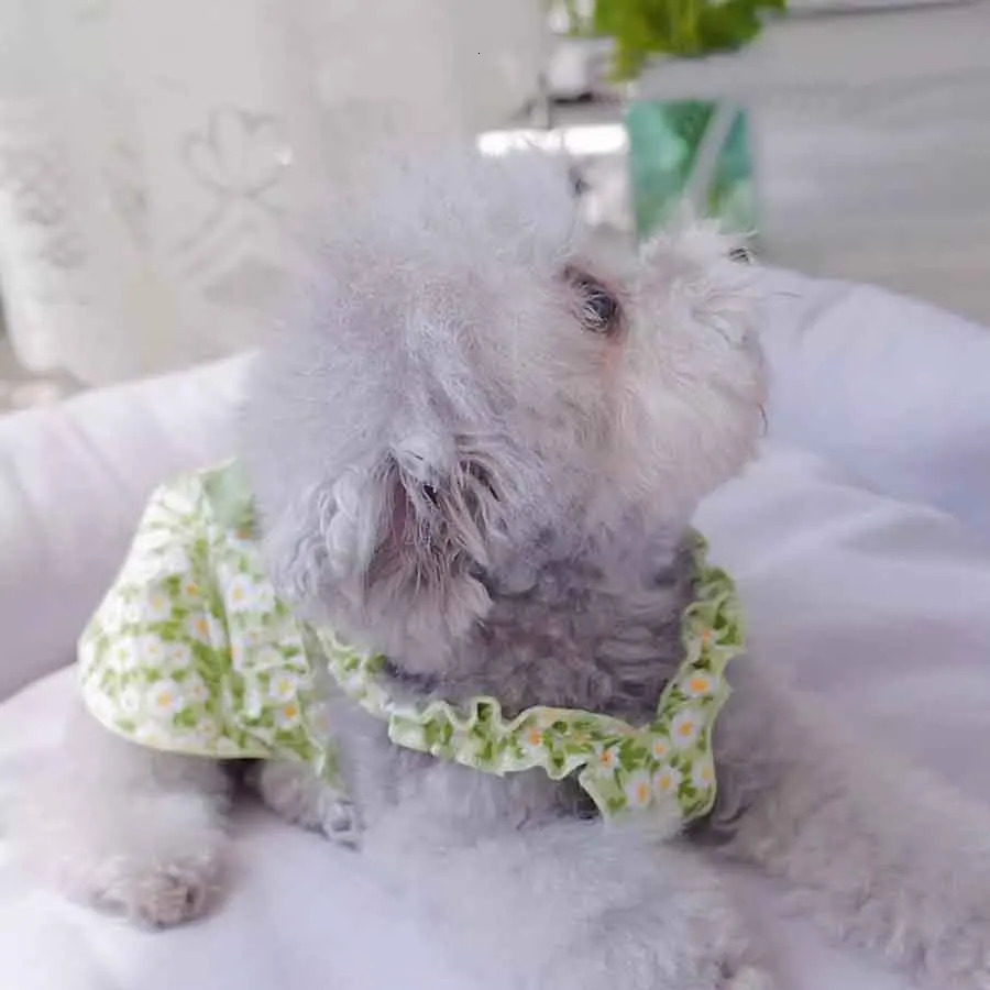 1pc Pet Dress Romantic Style Dog Summer Dress Cat Skirt With Green Floral Print Small Dog Clothes Pet Clothing Chihuahua Skirt 251029