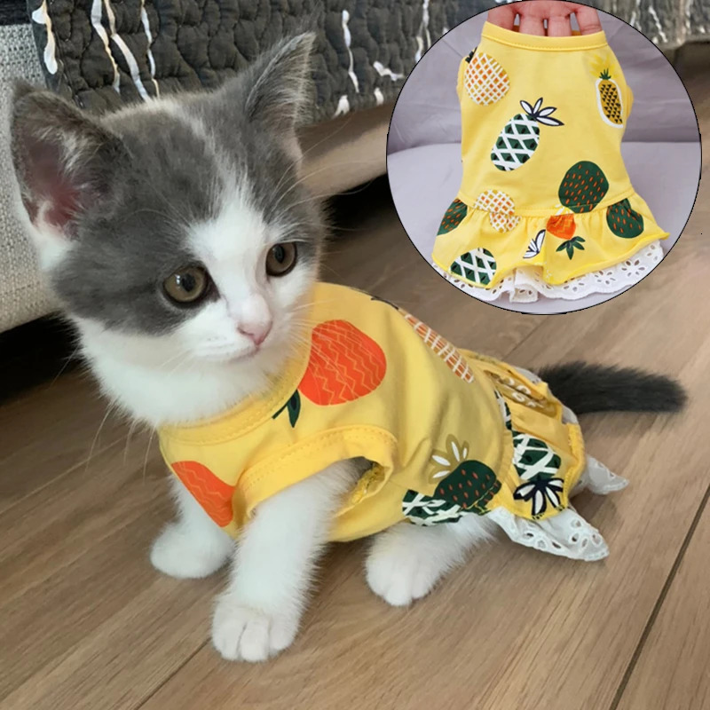 Summer Cotton Cat Dress Skirt Cute Pineapple Cherry Print Pet Clothes Dresses for Cats Sphynx Dog kedi elbisesi ropa para gatos 251029