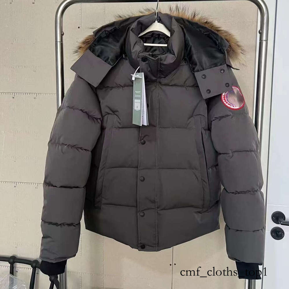 puffer designer Canda jacket northen face jacket puffer facejacket designer down jacket Couple Thickface winter canadian jacket veste puffer coat b44 65f