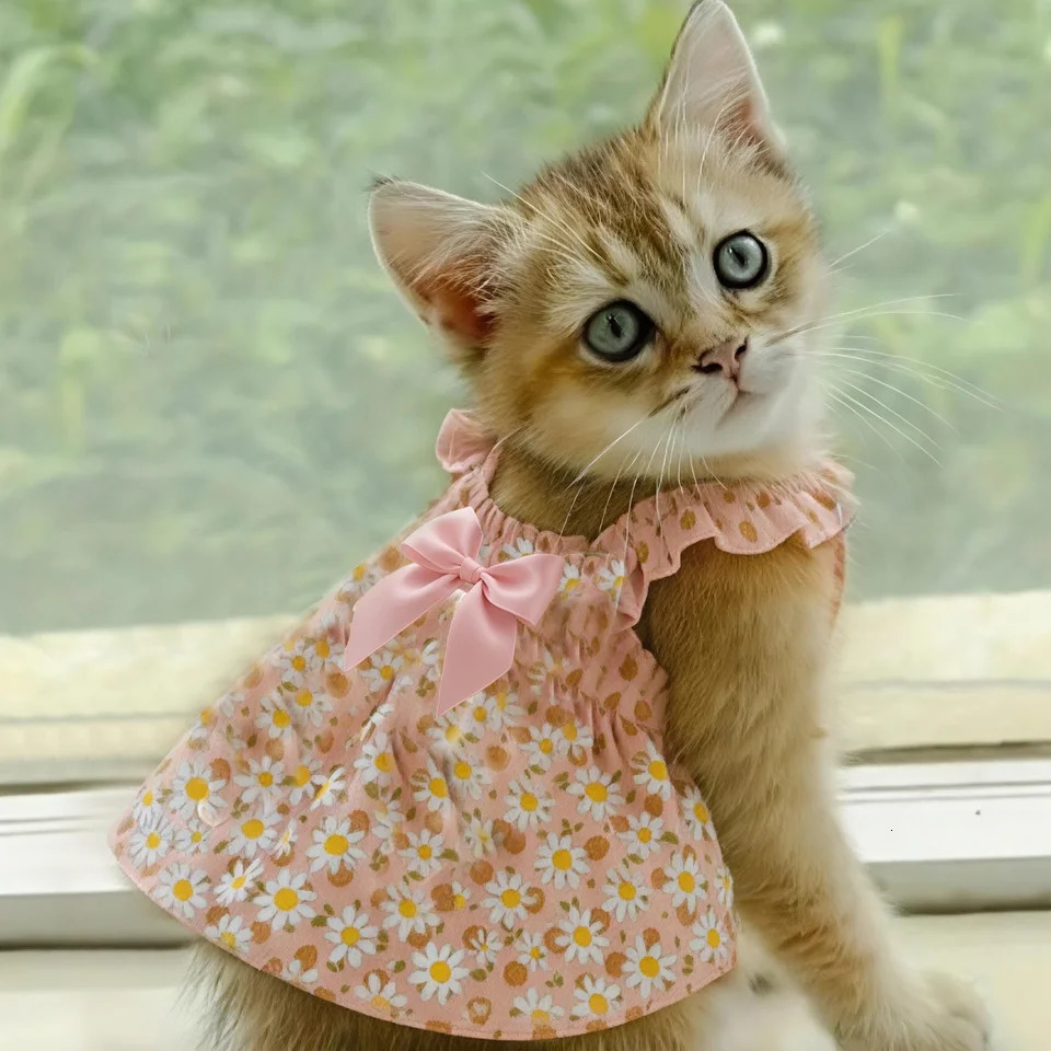 1pc Cat Skirt Pet Dress Dog Summer Dress Romantic Style With Pink Floral Print Small Dog Clothes Pet Clothing Chihuahua Skirt 251029