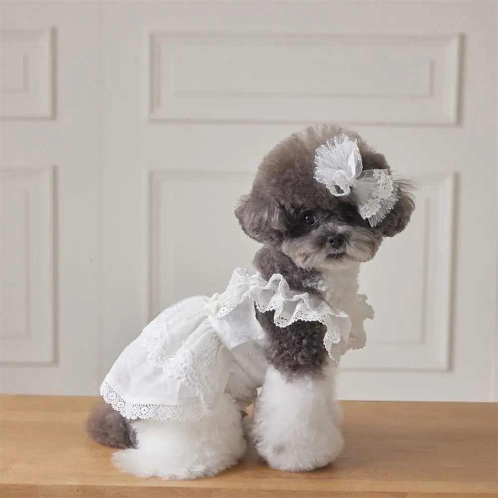 Cute CottonLace Pet Flying Sleeve Skirt White XSXL Cat Top Breathable Pet Costumes Cat Dog 251029