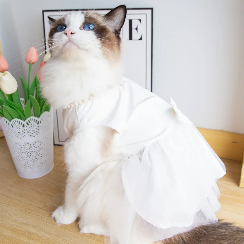 Pet Wedding Clothing Cat Spring Summer Thin White Retro Flower Dress Princess Wedding Dress Suitable for Small and Medium Dogs 251029