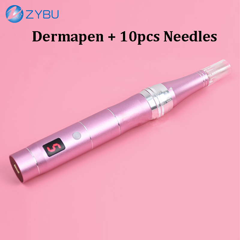 Wireless 5 Speed Dermapen with 10pcs Cartridges Electric Auto Microneedle Roller System Professional Face Mesotherapy Tool Skin Care MTS Derma Pen Mic