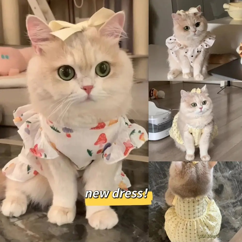 Cute Dot Pet Dog Dress Summer Clothes Slim Style Cat Princess Dresses Sleeveless Puppy Skirt Chihuahua Bichon French Bulldog 251029