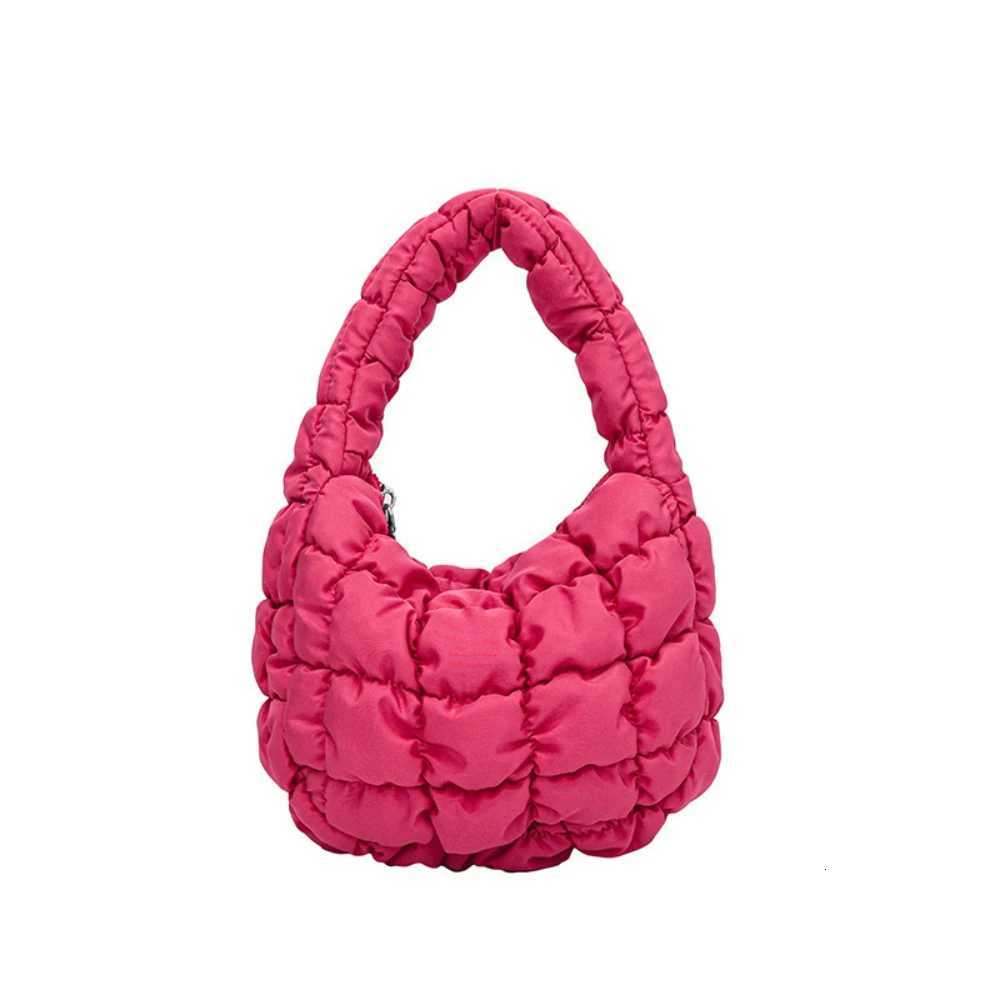 2025 KoreanStyle Pleated Bubble Handbag New Niche Cloud Bag down CottPadded Dumpling Handbag Fiable Wens Cluh D251029