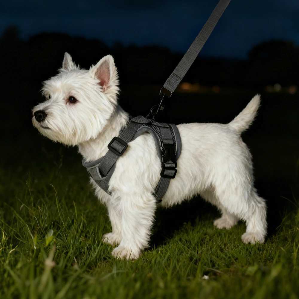 Pet Harness and Leash Set Reflective Walking Puppy Vest Chest Strap For Small Dogs Cats Breathable Outdoor Harnesses With DRing J251129