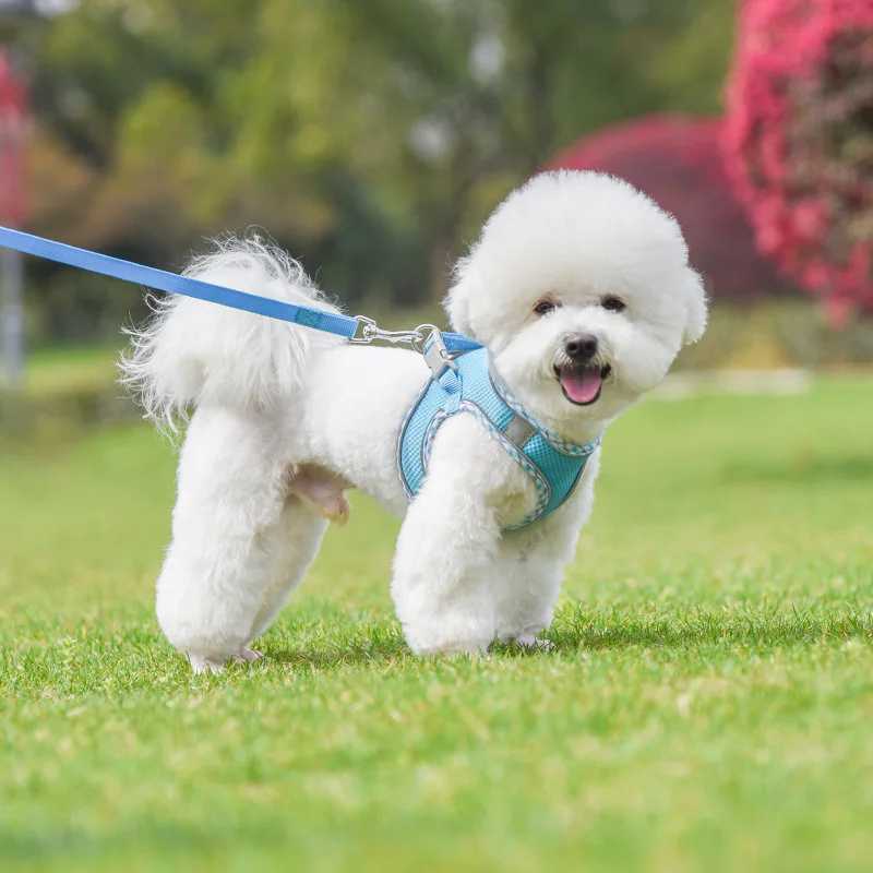 Pet Dog Harness and Leash Set for Small Medium Dogs Outdoor Walking Reflective Cat Vest Harness Chihuahua Yorkie Pet Supplies J251129