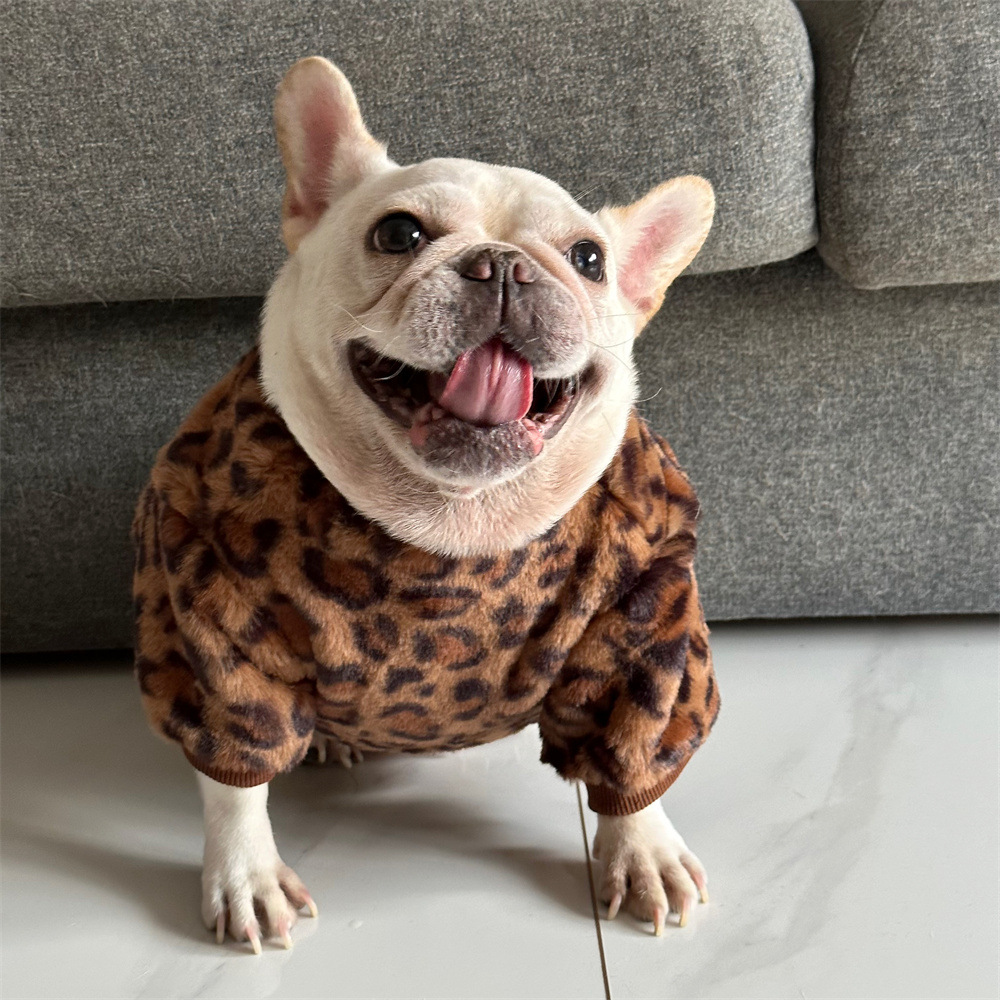 Designer Autumn/Winter pet dog plush sweatshirt, for bulldogs, corgis, and shih tzus, warm clothes for winter Dog Coats