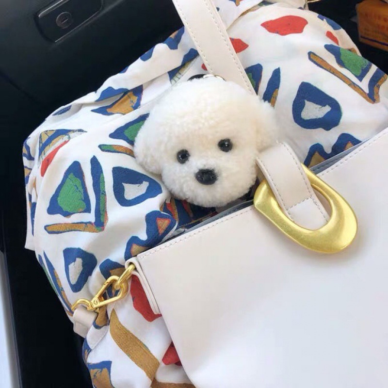 Cute Bichon Teddy Dog Plush Bag Charm Lamb Wool White Puppy Cartoon Keychain Birthday Gift