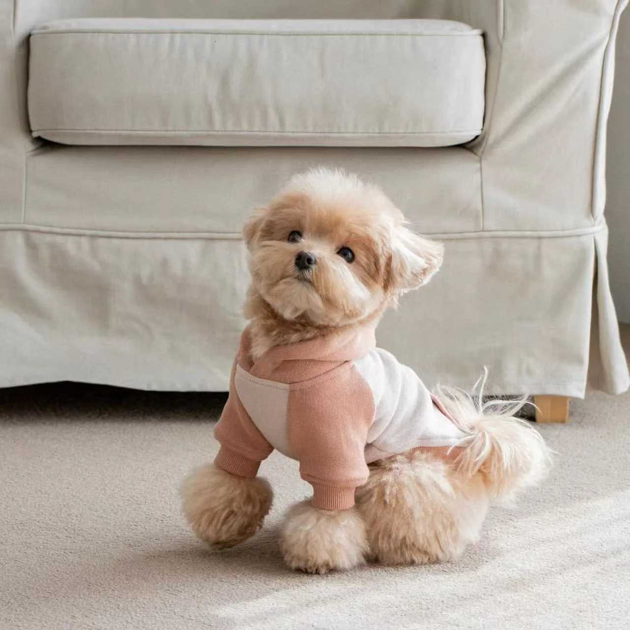 Pet AutumnWinter Hoodie Warm Splicing Tshirt Teddy Yorkshire Small Dog AutumnWinter Hoodie Puppy Clothes for Small Dogs C251030