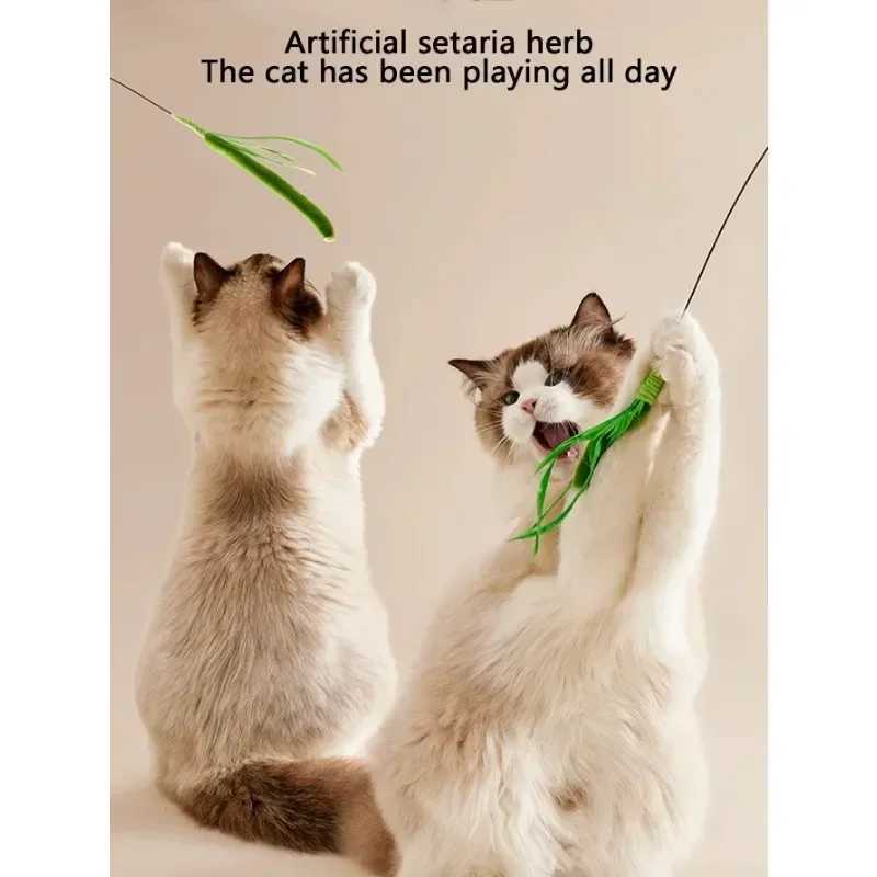 Cat and Dog Grass Chew Toy Teaser Stick Natural Bite Resistant Dental Teeth Cleaning Self Soothing Play Durable Pet Toys Cat Tea S251029