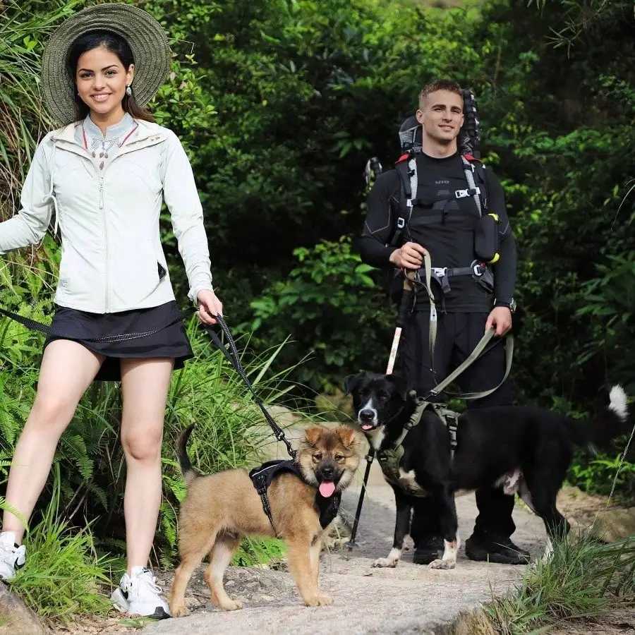 No Pull Dog Harness Medium Sized Dog Easy Walk Training Adjustable 0Reflective Dog Vest with Handle Metal Easy Control Green J251129