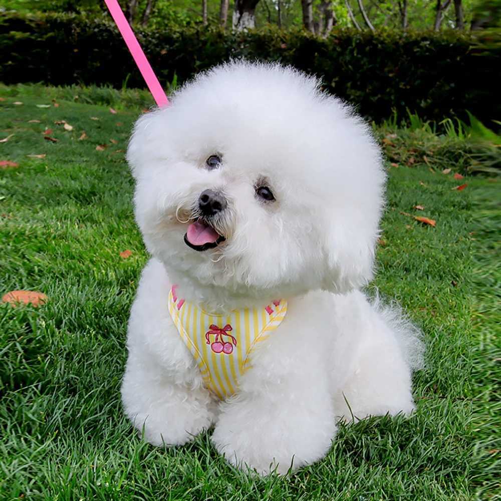 Chic Dog Harness and leash set Cute Puppy walking Set for Small Medium Dogs and cats Adjustable Chest Strap Striped Chic J251129