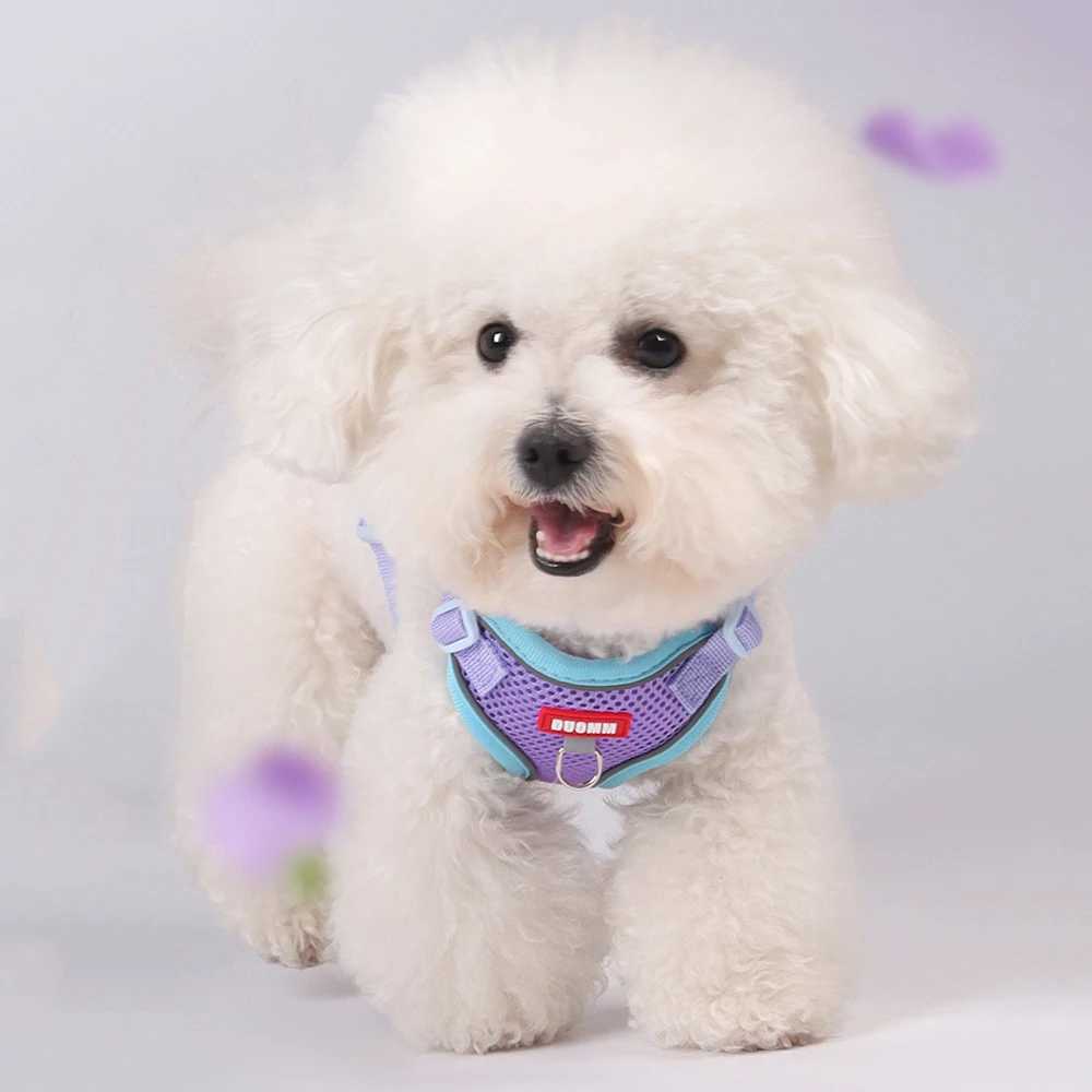 Fashion Pet Harness and Leash Set for Small Dogs Summer Breathable Puppy Dog Vest Harnesses Pinscher Chihuahua mascotas Supplies J251129