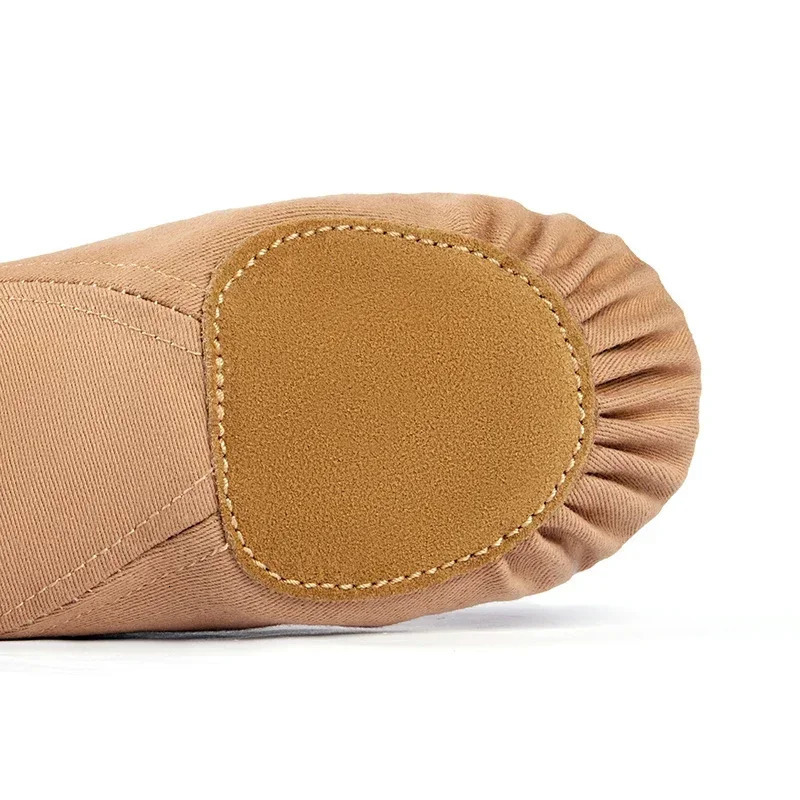 Jazz Shoes Womens Dance Shoes Modern National Indoor Exam Special Training Teacher Adult Classical Soft Soled Shoes 251023ww1