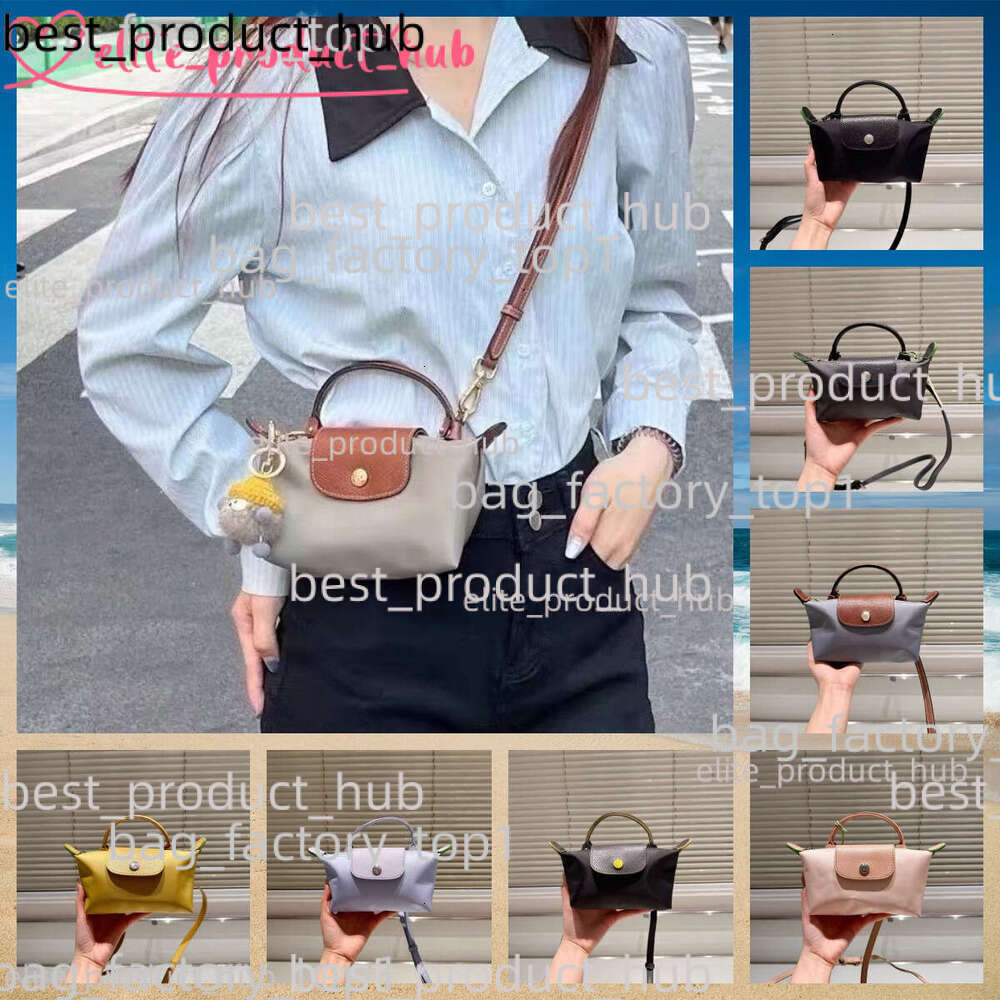 Designer Longlies Dumpling Champly Bag Tote Bag Purses Designer Woman Handbag Shoulder Bag Mini Totebag Crossbody Shopping Luxury Fashion Tote Bag Polychrome A45