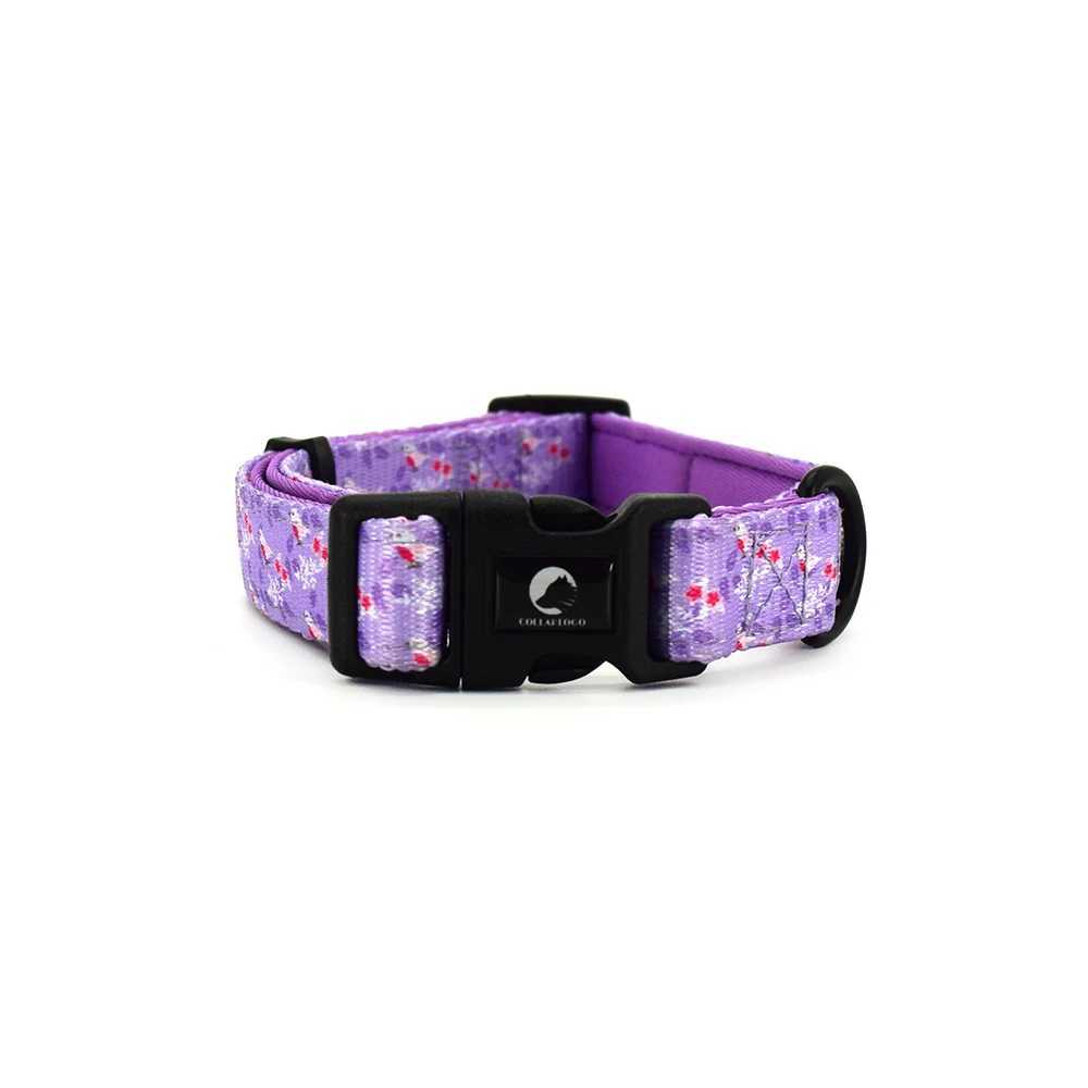 Adjustable Pet Dog Collar Durable Soft Cute Creative Colored Purple Brid Design Leash Neoprene Harness With Poop Bag Dispenser J251129