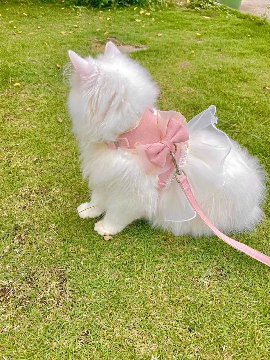 Cute Bowknot Pet Harness Leash Princess Cat Dress Costumes Nylon Kittten Dress Puppy Harness For Rabbit Teddy Cats Clothes J251129