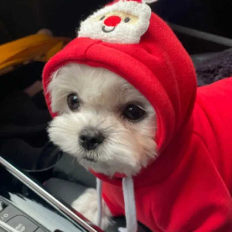 Pet Clothing for Small Medium Dogs Christmas Dog Clothes Puppy Cat Hodies Chihuahua Costume Christmas Pet Clothes Coat New Year C251030
