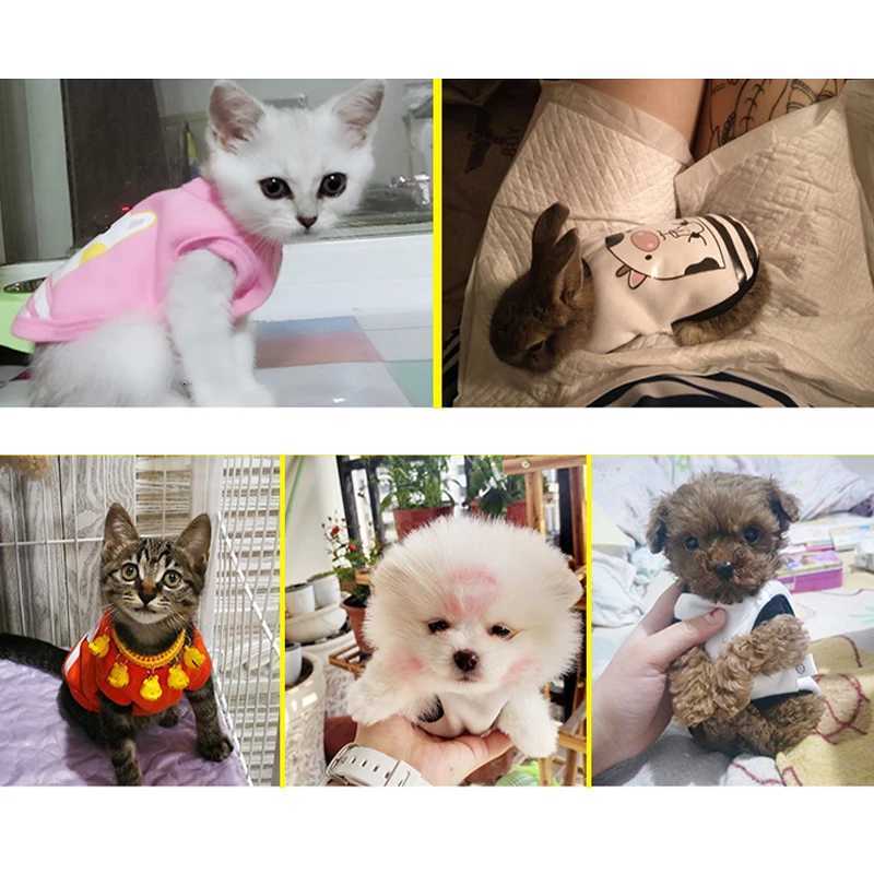 Xxxs Dog Clothes For A Dwarf Pet Rabbits Fashionable Chihuahua Puppy Clothing Winter Warm Cute Small Sphinx Cat Clothes Ferret C251030