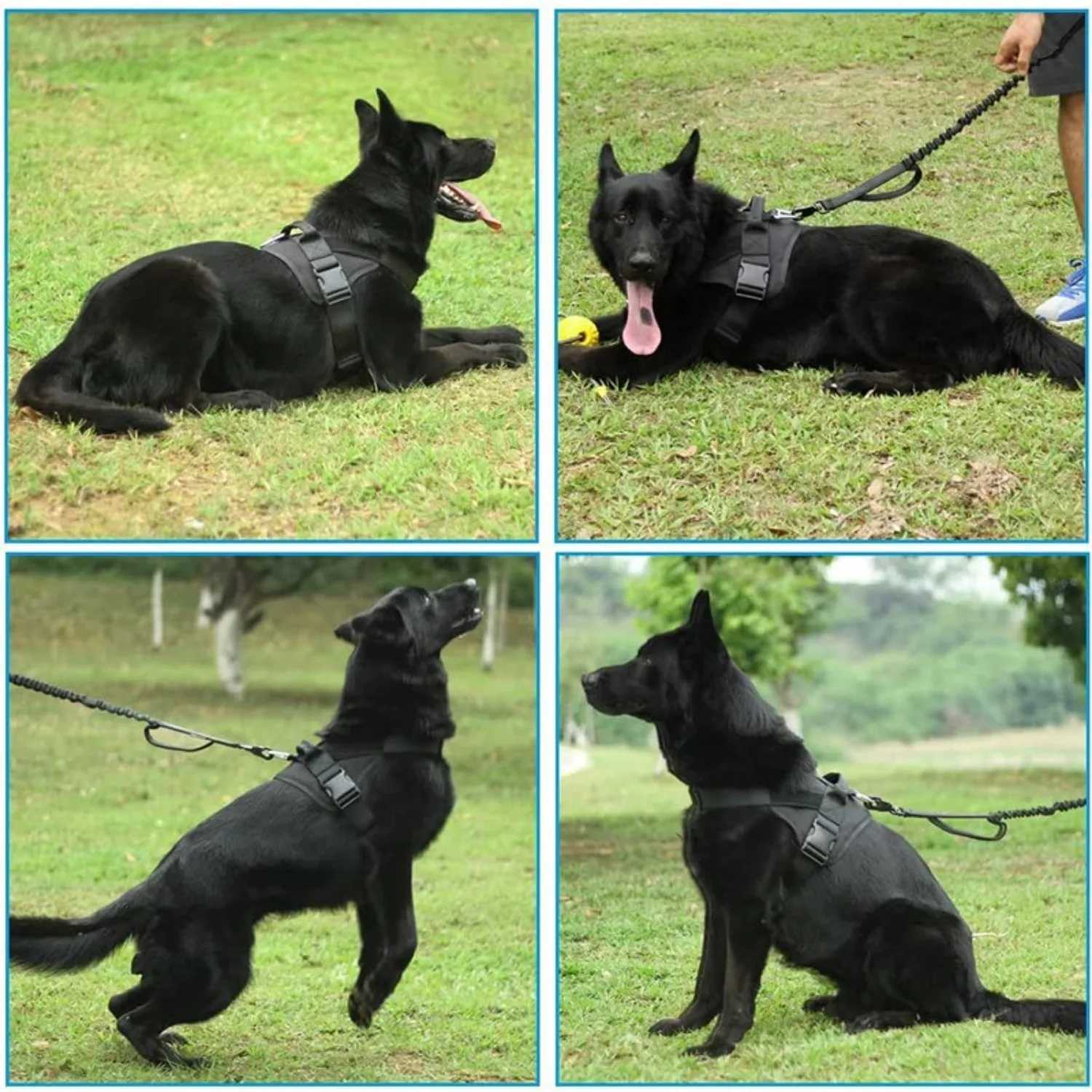 Tactical Big Dog Harness Chest Dog Vest German Shepherd Pet Pectoral Collar Nylon Adjustable Training For Medium Large Doggie J251129