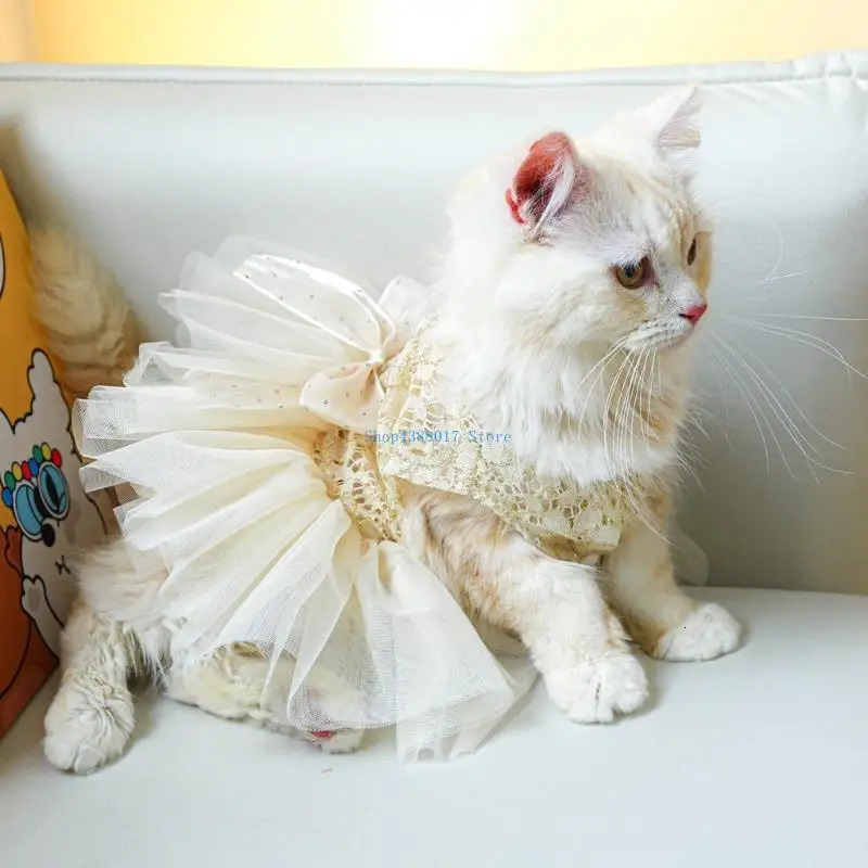 896B Lace Yarn Skirt for Small Dogs Cats Dress Sweet Dog Girly Dress Spring 251029