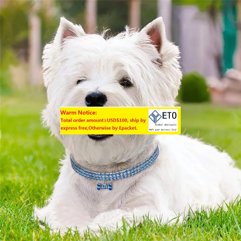 Bling Rhinestone Pearl Necklace Dog Collar Alloy Diamond Puppy Pet Collars For Little Dogs Mascotas Dog Accessories ZZ