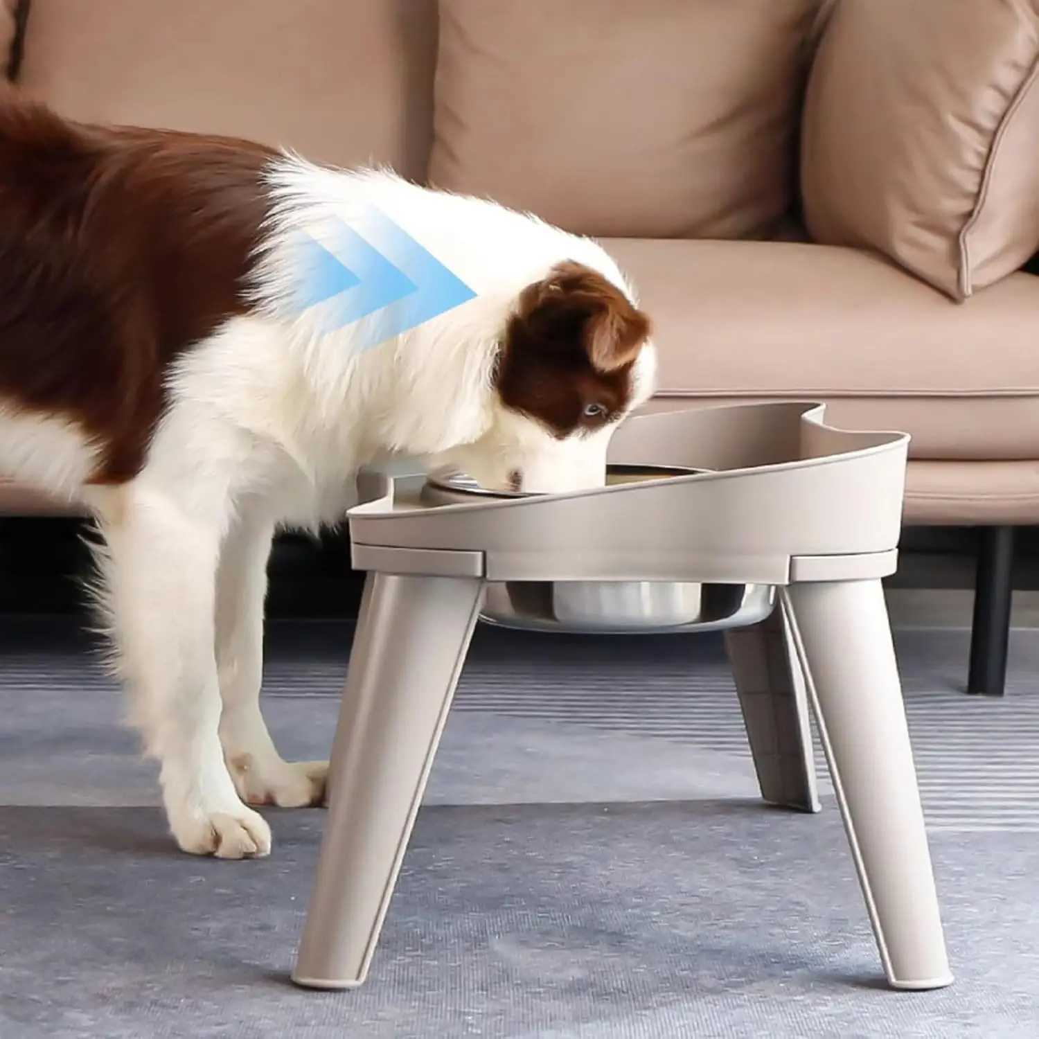 Pet food bowl with stand raised feeder dog bowl spill proof dog water bowl suitable for small medium and large dogs and pets J251113