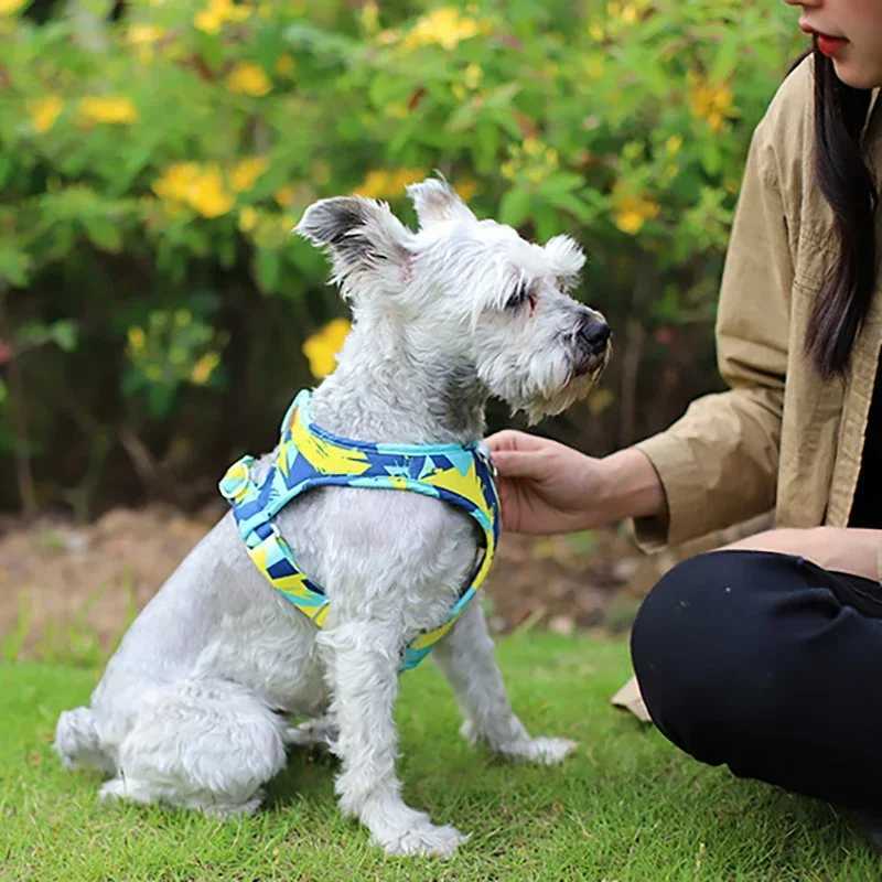 New Dog Cat Harness Adjustable Vest Walking Lead Leash For Puppy Dogs Collar Polyester Mesh Harness For Small Medium Dog Cat Pet J251129