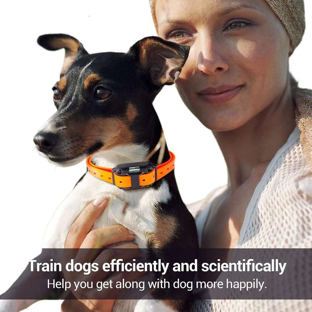 designer brand Electric Dog Training Detachable Bark Rechargeable Anti Barking Shock Vibration Collar for All Dogs Pet with Clicker