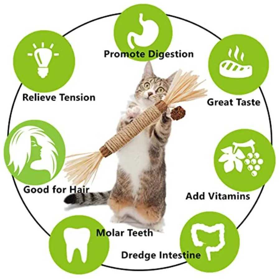 Cat Toys3PCS Kitten Toys for Indoor Cats Catnip Toy for Chewing Silvervine Stick for Cleaning Teeth Kitty Dental Treat Interact S251029{category}