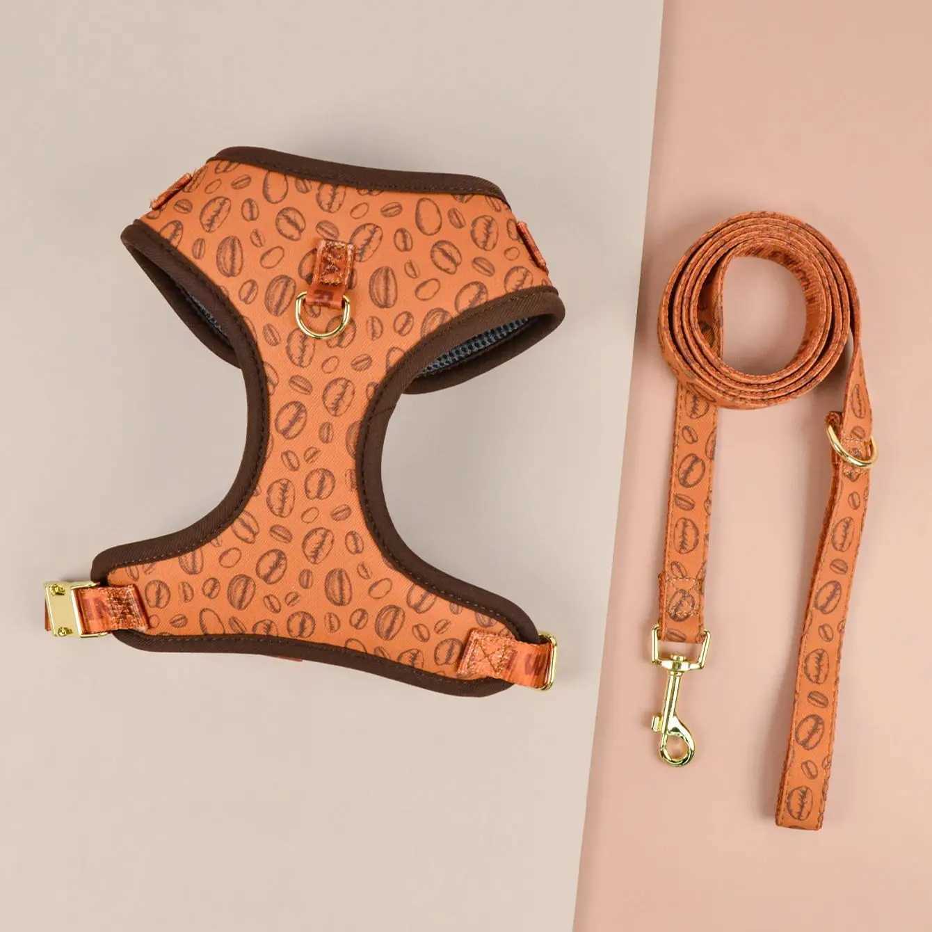 Valentines Day and New Years gift Cute Design Adjutable Luxury Designer Pet Harness 1 Pcs Color Matching Pet Dog Leashes J2511291