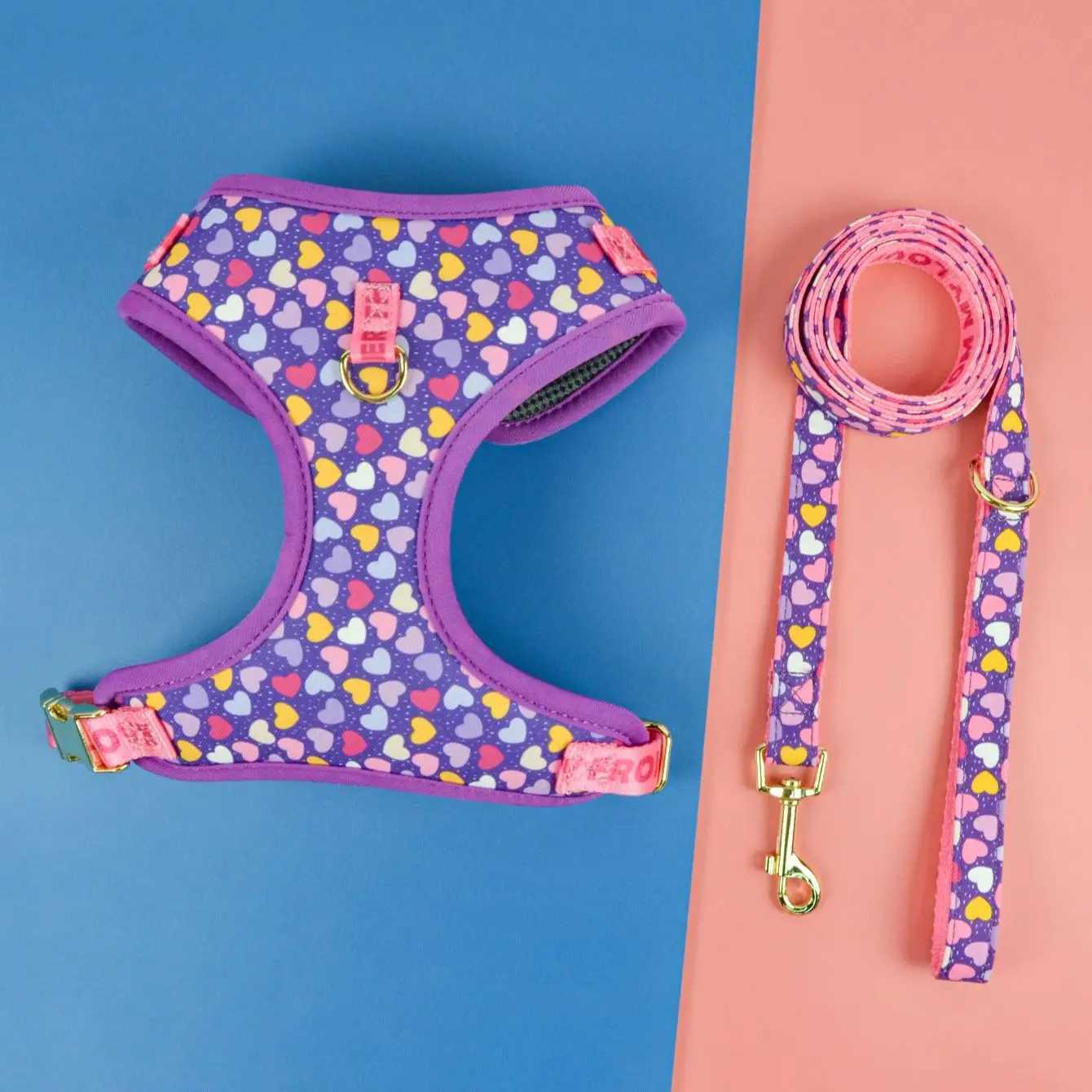 Valentines Day and New Years gift Cute Design Adjutable Luxury Designer Pet Harness 1 Pcs Color Matching Pet Dog Leashes J2511291