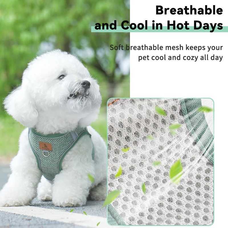 HP378Linen Material Dog Harness Leash Set Soft Comfortable Mesh Lining For Breathability Suitable For Small Medium Dogs J251129