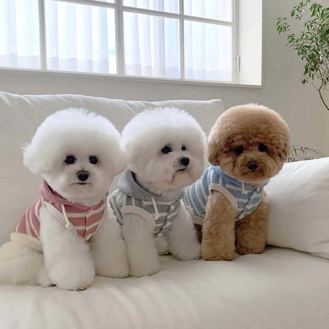 Pet Autumn Winter Striped Hooded Sweatshirt Sleeveless Base Coat for Cats Small Mediumsized Dogs Pet Coat Puppy Clothes C251030