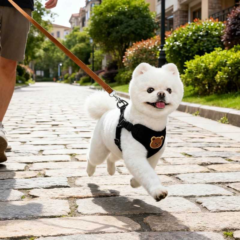 Puppy Chest Strap Chihuahua Harness Breathable Vest Dog Harness Leash Set Small Medium Dog Cat Vest Pet Adjustable Lead Rope J251129