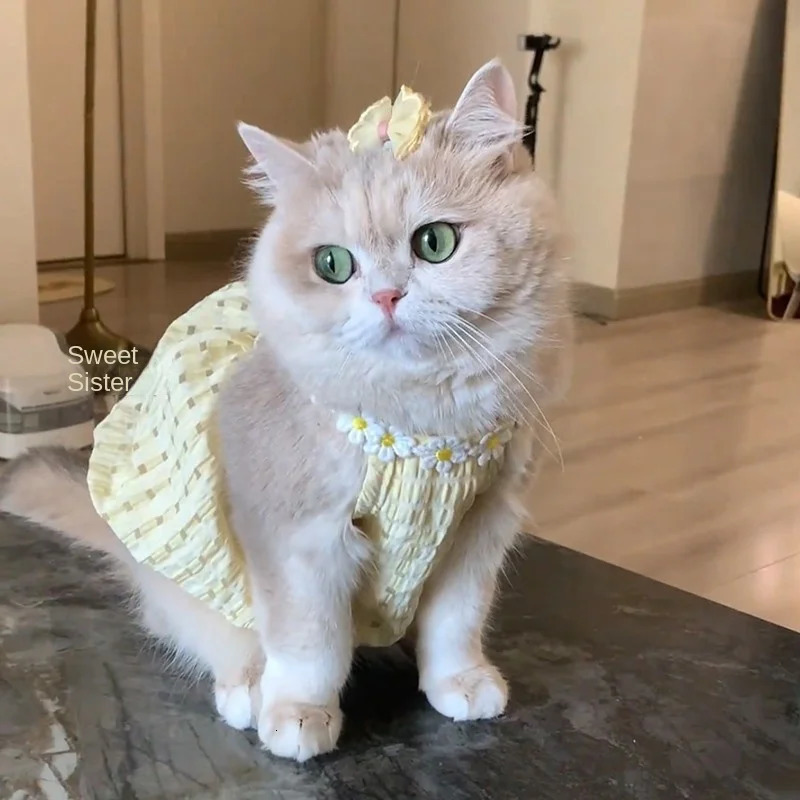 Cat Clothes Kitten Dress Spring Summer AntiShedding Pet Dresses Golden Shaded Devon Ragdoll Thin Cute Dog 251029