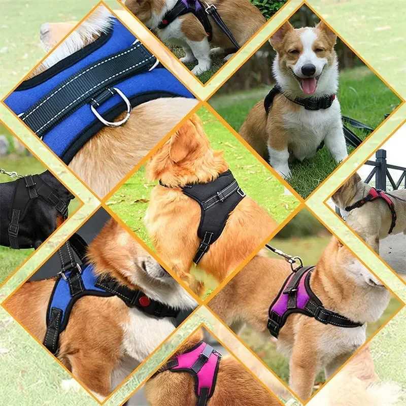 Dog Harness Leash Set Adjustable Pet Chest Strap For Small Medium Dogs Outdoor Dog Walking Chest Strap Pets Supplies J251129