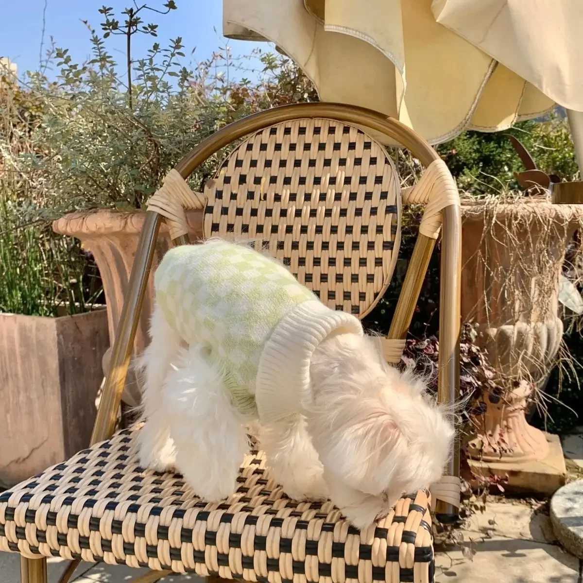 INS Pet Checkerboard Sweater Lapel Dog Cat Cashmere Sweater Cute Dog Sweater Puppy Clothes Dog Clothes for Large Dogs Pet Items C251030